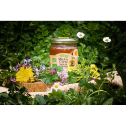 Miel de Maquis de Printemps...